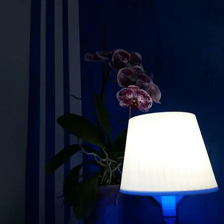 Light * アヴェッリーノ