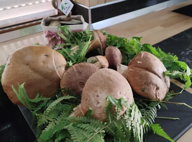 Light Habitación en casa particular Avellino